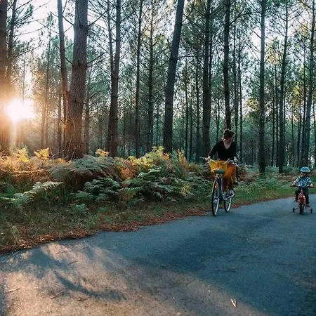 Le Bourrut Hébergement de vacances